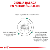 VHN SATIETY CAT - BASADA EN LA CIENCIA